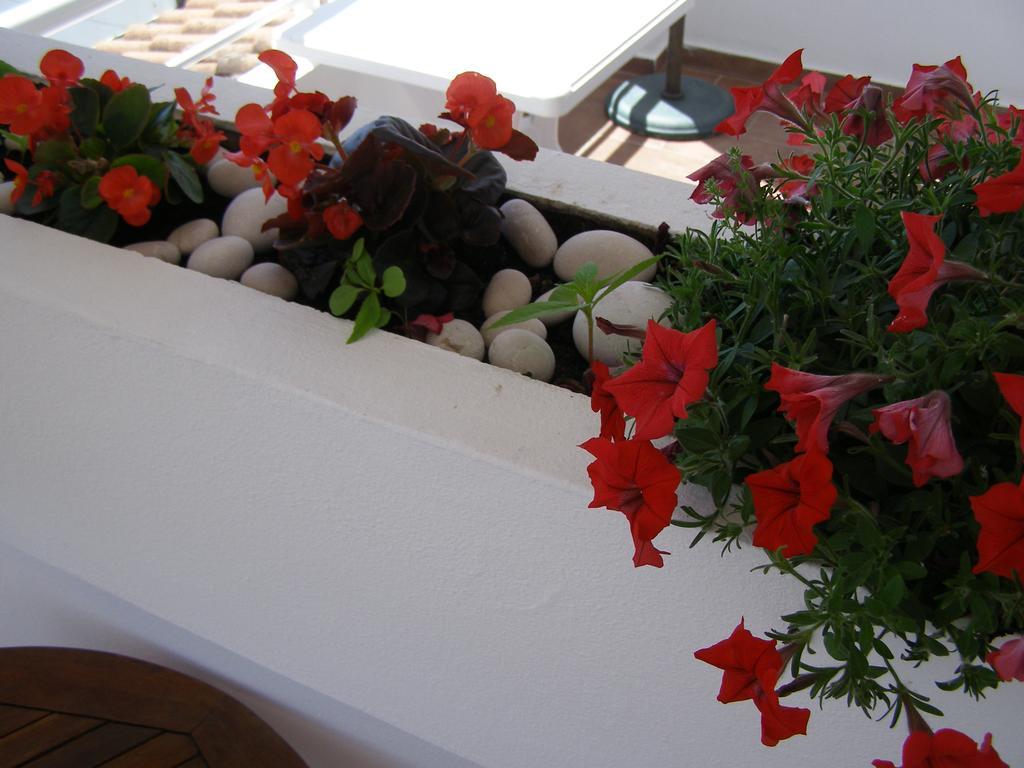Palastura Apartments Ulcinj Eksteriør bilde