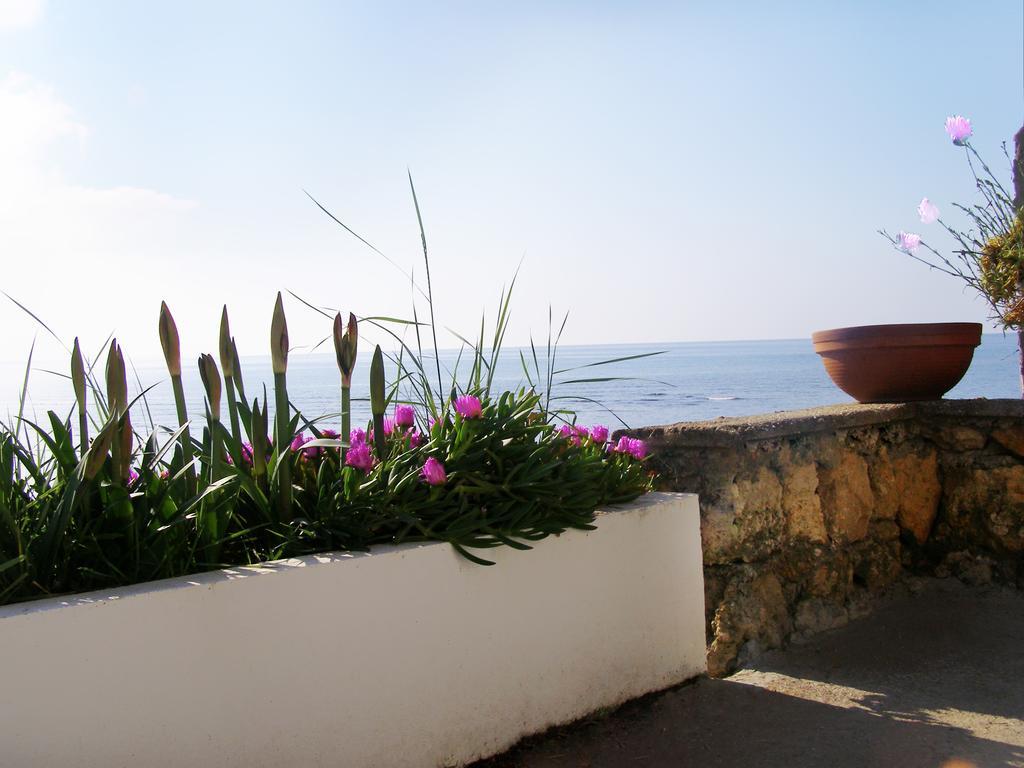Palastura Apartments Ulcinj Eksteriør bilde